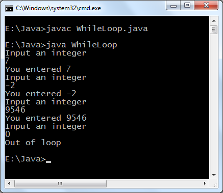 Java while loop example program